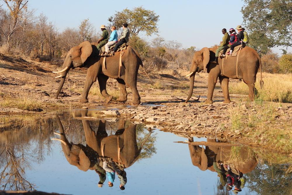 The Kingdom At Victoria Falls Exteriör bild